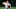Bauer ha sido uno de los críticos más acérrimos de los Astros en los últimos meses Bauer ha sido uno de los críticos más acérrimos de los Astros en los últimos meses