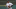 Miguel Cabrera se mostró en excelentes condiciones físicas y un swing sólido en el estreno de su temporada 19 en la MLB Miguel Cabrera se mostró en excelentes condiciones físicas y un swing sólido en el estreno de su temporada 19 en la MLB