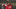 El dominicano se quedará un año más con Minnesota El dominicano se quedará un año más con Minnesota