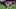Diego Ribas, Ricardo Costa