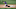 Myers puede robar 20 bases por temporada si acumula suficiente tiempo de juego Myers puede robar 20 bases por temporada si acumula suficiente tiempo de juego