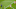 Luka Modric