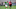 Daniel Osorno es el segundo máximo goleador mexicano del equipo rojinegro y el tercero en toda la lista del Atlas de Guadalajara