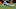 Detroit Lions v Arizona Cardinals Detroit Lions v Arizona Cardinals