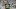 Aaron Rodgers demostró su mejor nivel y fue una de las grandes figuras en la victoria de los Packers ante los Lions Aaron Rodgers demostró su mejor nivel y fue una de las grandes figuras en la victoria de los Packers ante los Lions