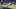 Detroit Lions v Oakland Raiders Detroit Lions v Oakland Raiders