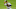 Schoop puede dar 20 jonrones Schoop puede dar 20 jonrones