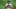 Jeimer Candelario podría experimentar una mejora en su salario de cara a la temporada 2022 de MLB con los Tigres de Detroit Jeimer Candelario podría experimentar una mejora en su salario de cara a la temporada 2022 de MLB con los Tigres de Detroit