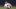 Aaron Judge es candidato al arbitraje Aaron Judge es candidato al arbitraje