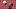 FBL-EURO-2020-QUALIFIER-CZE-ENG-TRAINING