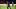 Kean was on the scoresheet twice against Dijon