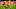 FBL-GER-BUNDESLIGA-DORTMUND-UNION BERLIN