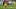 Jadon Sancho ist Dortmunds wertvollstes Juwel auf dem Transfermarkt Jadon Sancho ist Dortmunds wertvollstes Juwel auf dem Transfermarkt