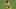 FBL-GER-CUP-FRANKFURT-DORTMUND FBL-GER-CUP-FRANKFURT-DORTMUND