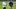 FBL-WC-2022-SWE-TRAINING