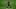Philippe Coutinho