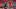Steht vor einer Verlängerung beim FC Bayern: Eric-Maxim Choupo-Moting Steht vor einer Verlängerung beim FC Bayern: Eric-Maxim Choupo-Moting