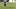 Beobachter: S04-Coach David Wagner beim Training Beobachter: S04-Coach David Wagner beim Training