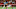 Flamengo v Gremio - Copa CONMEBOL Libertadores 2019 Semi-Final 2 Flamengo v Gremio - Copa CONMEBOL Libertadores 2019 Semi-Final 2