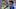 Steht unter Zugzwang: S04-Coach David Wagner Steht unter Zugzwang: S04-Coach David Wagner