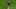 Antoine Griezmann