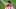Angel Correa, one of two Atleti players to test positive for coronavirus