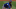 Jacob deGrom firmó por 5 años y $137 millones Jacob deGrom firmó por 5 años y $137 millones