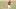 Dylan Carlson tiene un OPS de .760 en un total de 418 turnos la bate jugando para los Cardenales de San Luis en la temporada Dylan Carlson tiene un OPS de .760 en un total de 418 turnos la bate jugando para los Cardenales de San Luis en la temporada