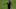 Blaise Matuidi