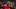 Internacional v Tolima - Copa CONMEBOL Libertadores 2020 Qualifications - Paolo Guerrero, jerarquía pura. Internacional v Tolima - Copa CONMEBOL Libertadores 2020 Qualifications - Paolo Guerrero, jerarquía pura.