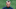 Federico Bernardeschi