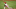 Raisel Iglesias podría salir pronto de los Angelinos Raisel Iglesias podría salir pronto de los Angelinos