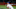 Los Dodgers tienen a Joc Pederson Los Dodgers tienen a Joc Pederson