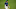 Brandon Lowe le da ventaja a los Rays Brandon Lowe le da ventaja a los Rays