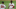 Pache debutó en 2020 con los Bravos de Atlanta Pache debutó en 2020 con los Bravos de Atlanta