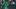 Leon v LAFC - CONCACAF Champions League 2020