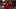 Brewster could provide ideal backup for Liverpool's frontline Brewster could provide ideal backup for Liverpool's frontline