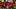 Wijnaldum celebrates the Premier League title win alongside Virgil van Dijk and Joe Gomez Wijnaldum celebrates the Premier League title win alongside Virgil van Dijk and Joe Gomez