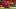Fabinho