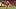 Liverpool v West Ham United - Premier League