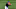 Andrés Giménez heredó la posición de Francisco Lindor Andrés Giménez heredó la posición de Francisco Lindor