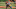 Joe Burrow Joe Burrow