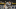 Corey Seager podría ser dejado ir por los Dodgers, quienes se enfocarían en Trevor Story como su campocorto en el futuro Corey Seager podría ser dejado ir por los Dodgers, quienes se enfocarían en Trevor Story como su campocorto en el futuro