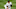 El venezolano ya debutó con los Yankees El venezolano ya debutó con los Yankees