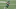 NY Jets, Ryan Griffin NY Jets, Ryan Griffin
