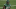 NY Jets, Corey Ballentine NY Jets, Corey Ballentine