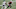 NY Jets, Marcus Maye NY Jets, Marcus Maye