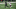 NY Jets, Ryan Griffin NY Jets, Ryan Griffin