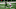NY Jets, Ryan Griffin NY Jets, Ryan Griffin