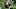 NY Jets, Blessuan Austin NY Jets, Blessuan Austin